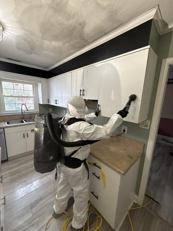 Mold Remediation in Greenback, TN