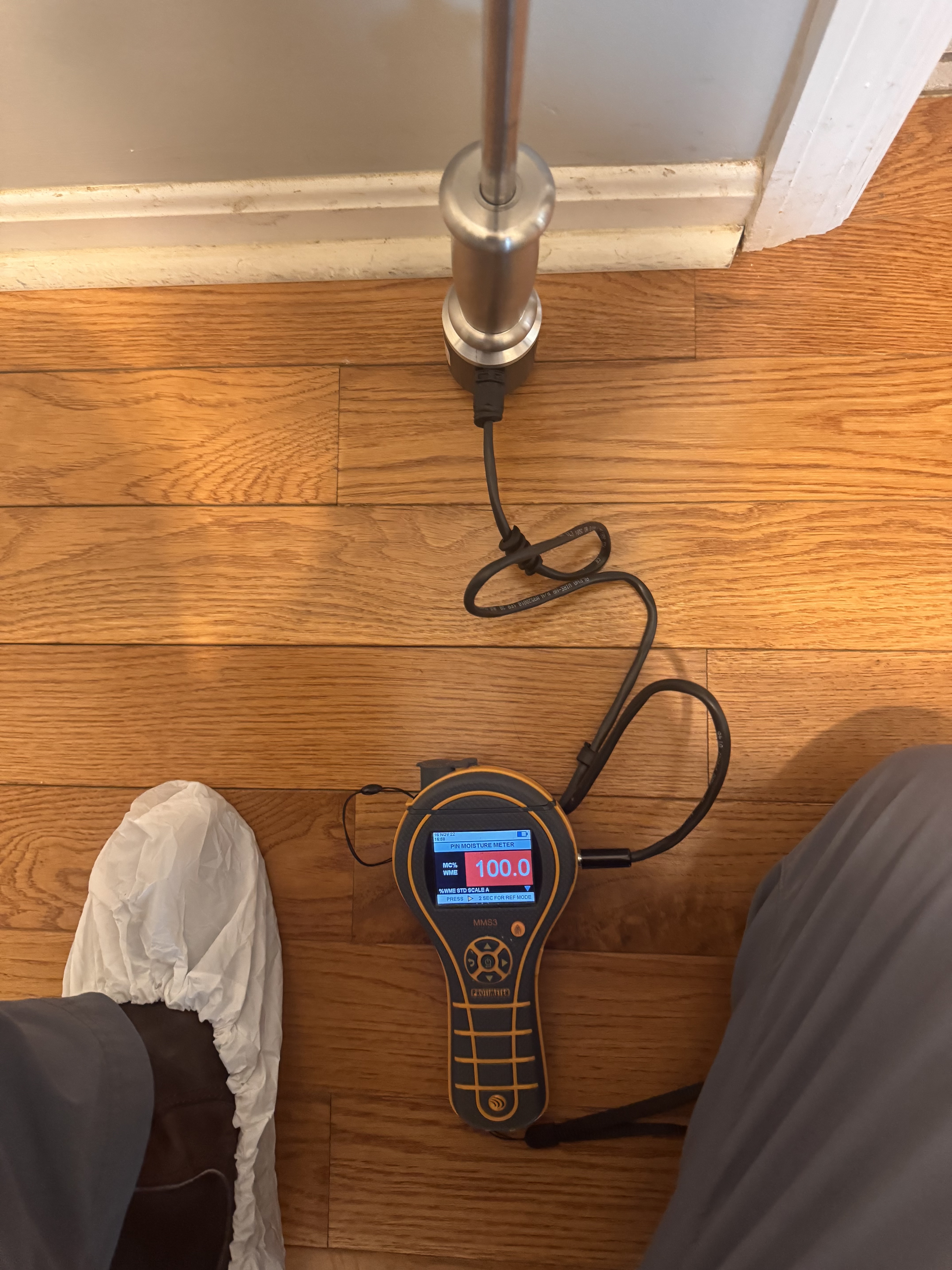 IRS technician using moisture meter to map water damage in a Knoxville home