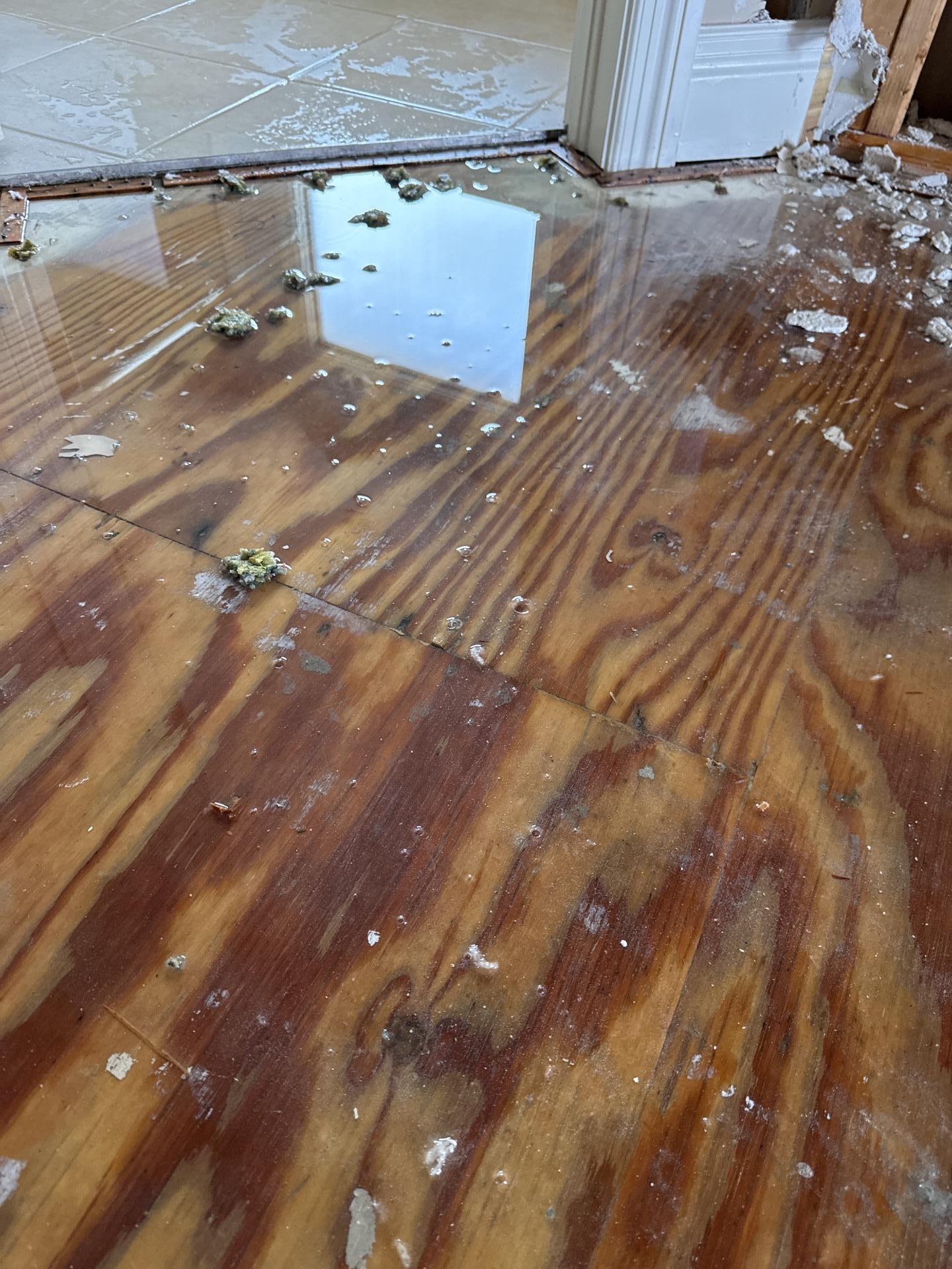 Standing water and damage on wood subfloor from storm intrusion in Knoxville
