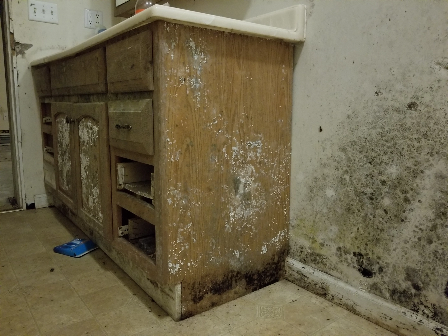 Extensive mold growth on kitchen cabinet and wall in a Knoxville home
