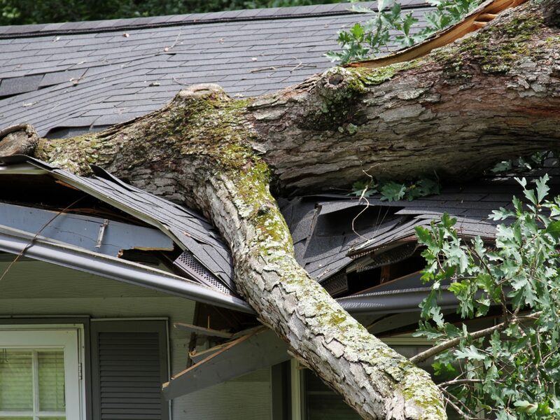 Storm Damage Restoration in Greenback, TN