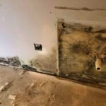 This image shows significant floor and wall mold behind dishwasher - Independent Restoration Services - Built On Service - Steps to mold removal.